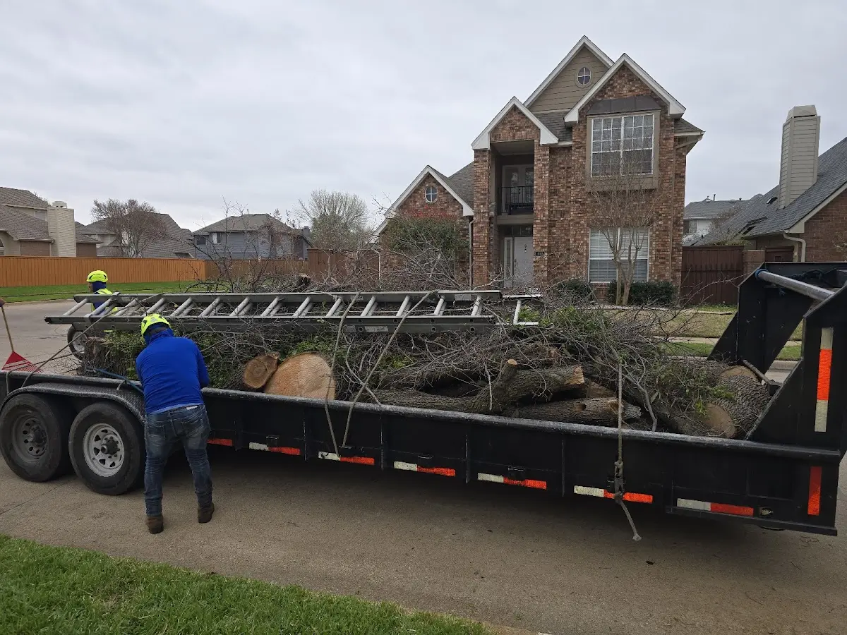 Expert Tree Fertilization with proper safety equipment in Cleveland